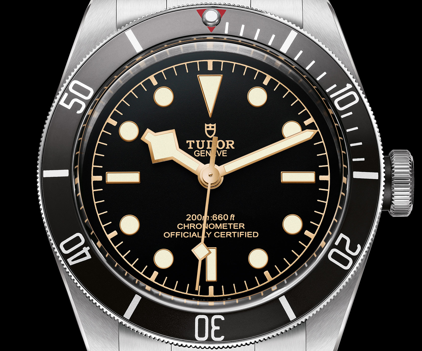 Is The Tudor Black Bay The Best Dive Watch For Your Money? [REVIEW]